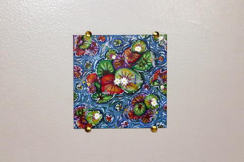 Bright Pond from Above