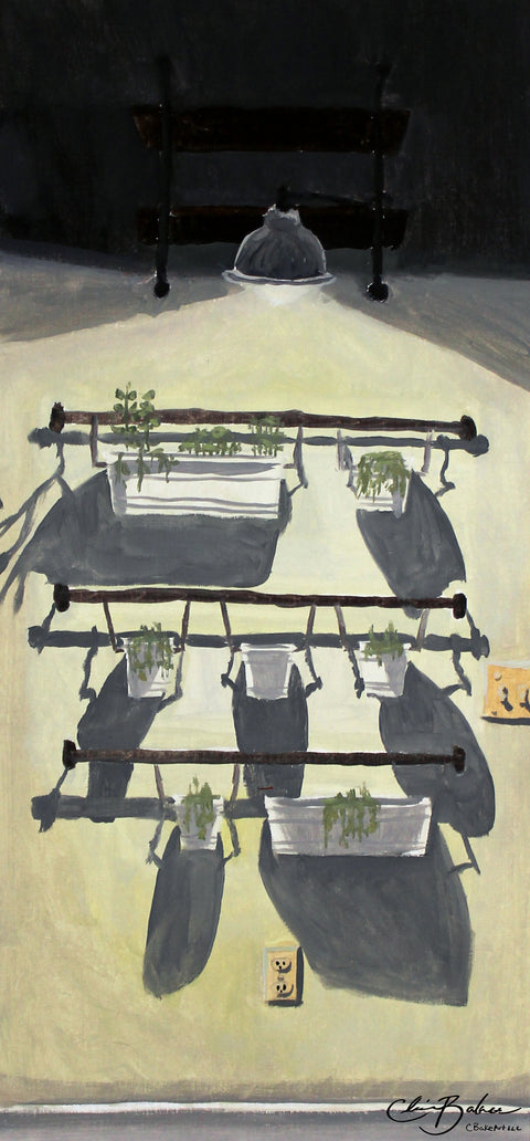 Basic Print-Dying Herbs