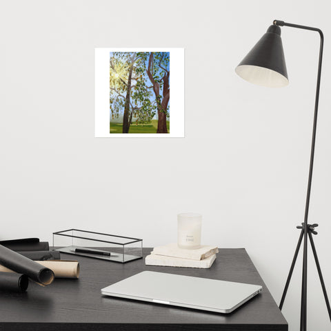 Basic Print-Sun Rays Through Trees