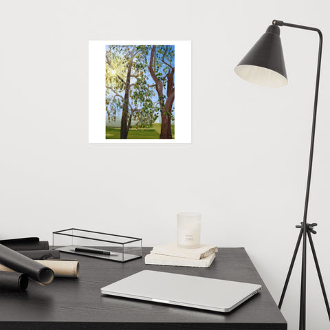 Basic Print-Sun Rays Through Trees