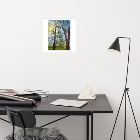 Basic Print-Sun Rays Through Trees