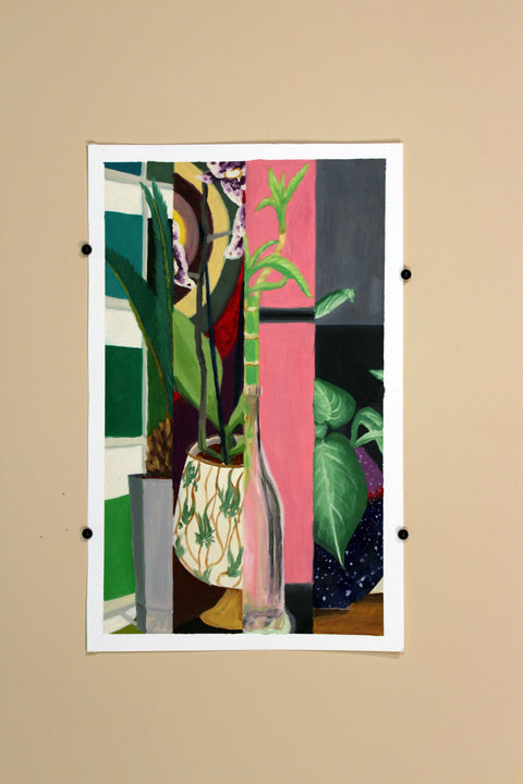 Plants Galore Slivers