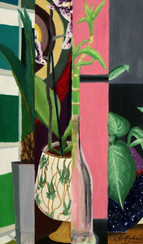 Plants Galore Slivers