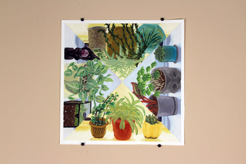 Plants Galore Triangles