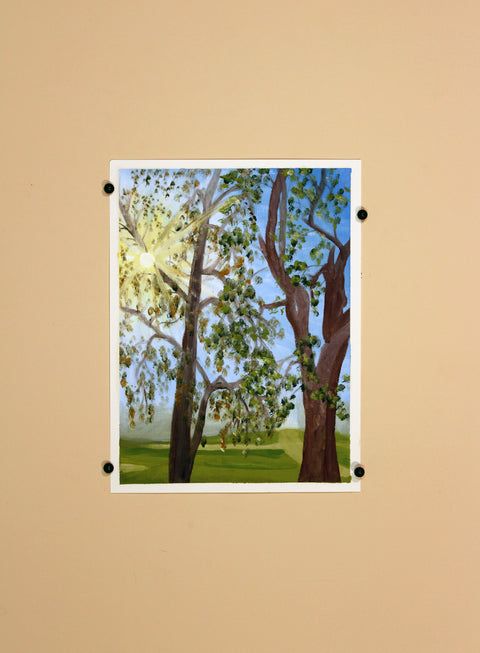 Sun Rays Through Trees