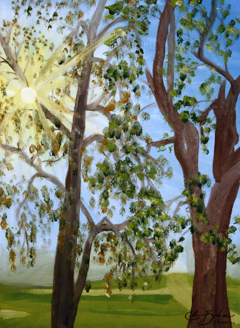 Basic Print-Sun Rays Through Trees